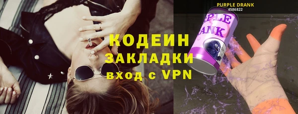 apvp Вяземский