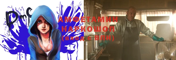 apvp Вяземский