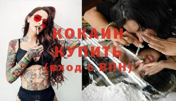 apvp Вяземский