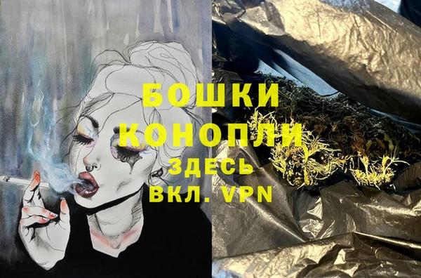 apvp Вяземский