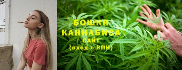 спайс Пролетарск