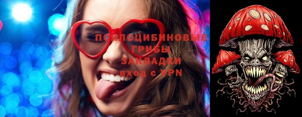 спайс Пролетарск