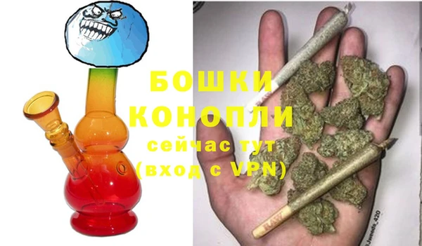 apvp Вяземский