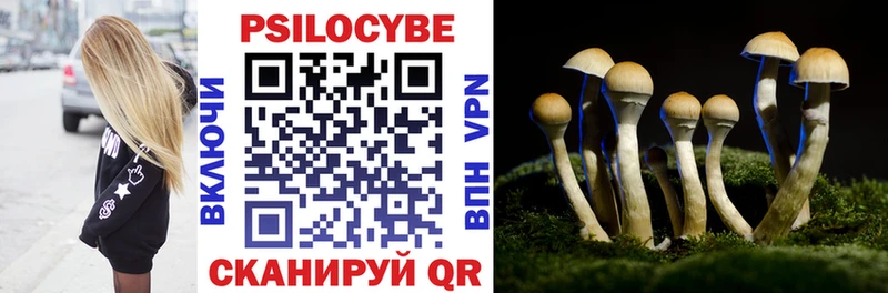 как найти закладки  Новоульяновск  Галлюциногенные грибы GOLDEN TEACHER 